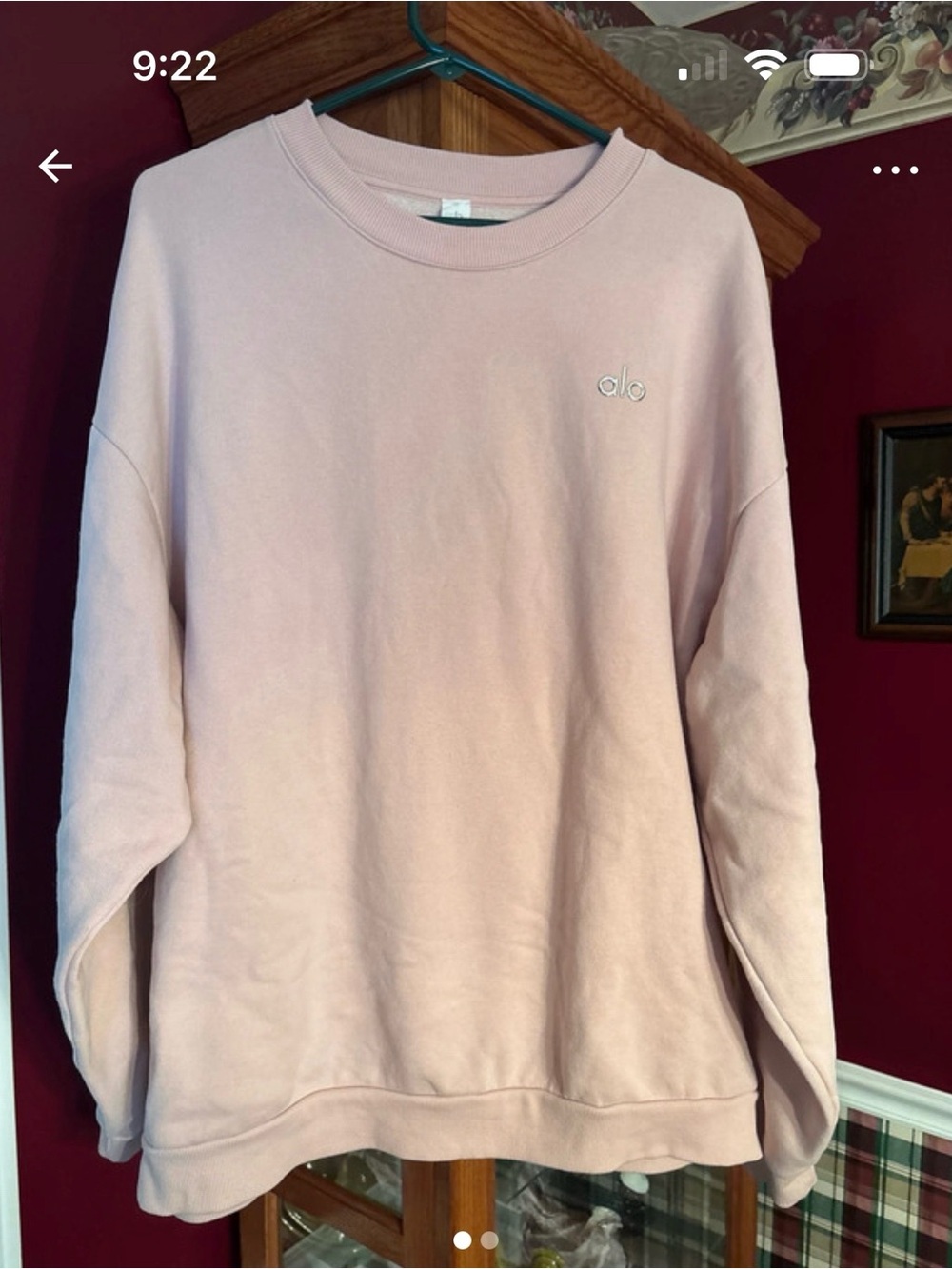 ALO Yoga Blush Pink Crewneck Sweatshirt